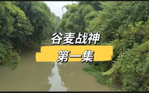 谷麦战神:第一集