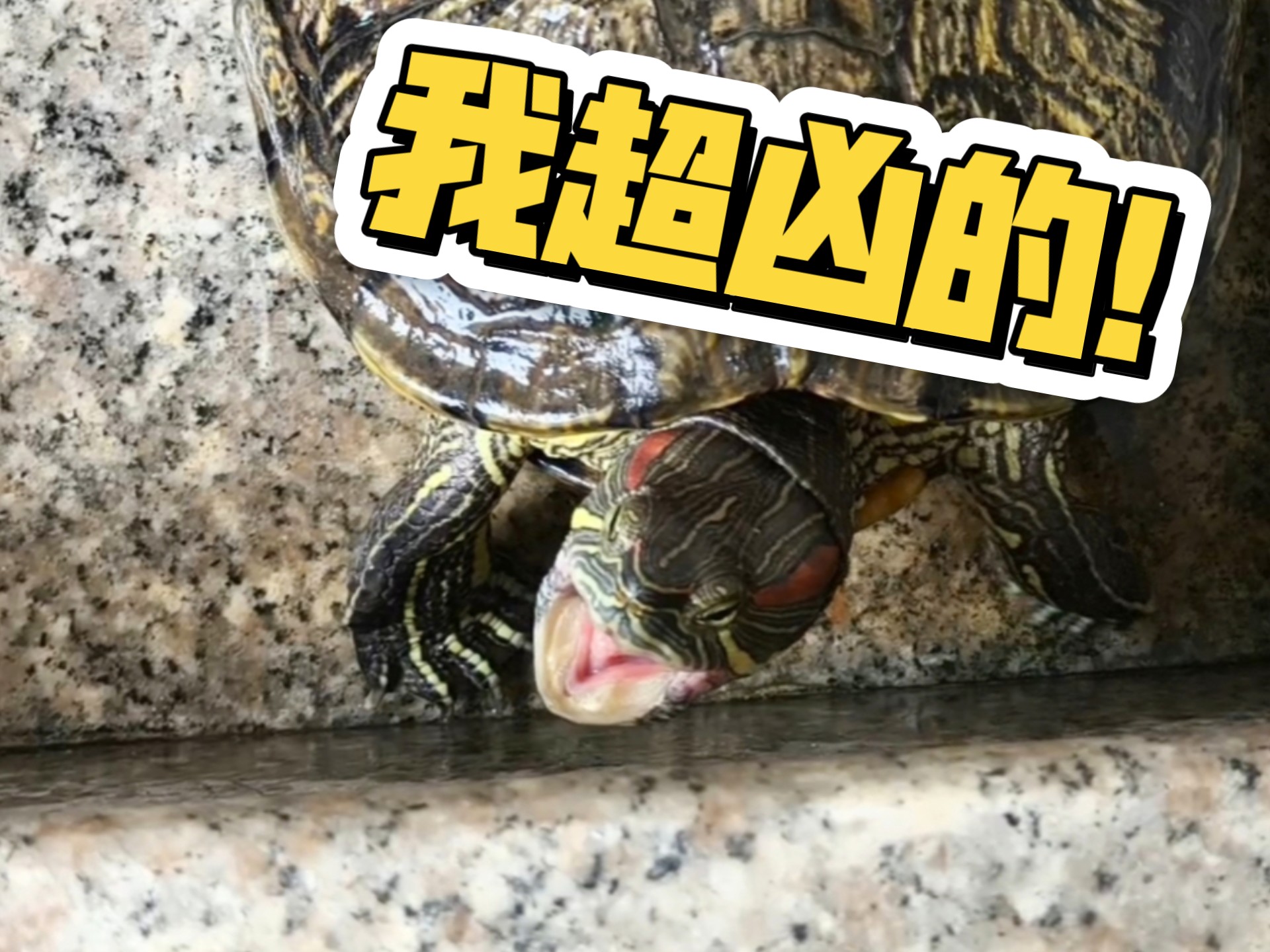 哈什么哈,就你嘴巴大啊!