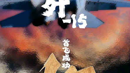 歼15首飞15周年打卡沈飞博览园哔哩哔哩bilibili