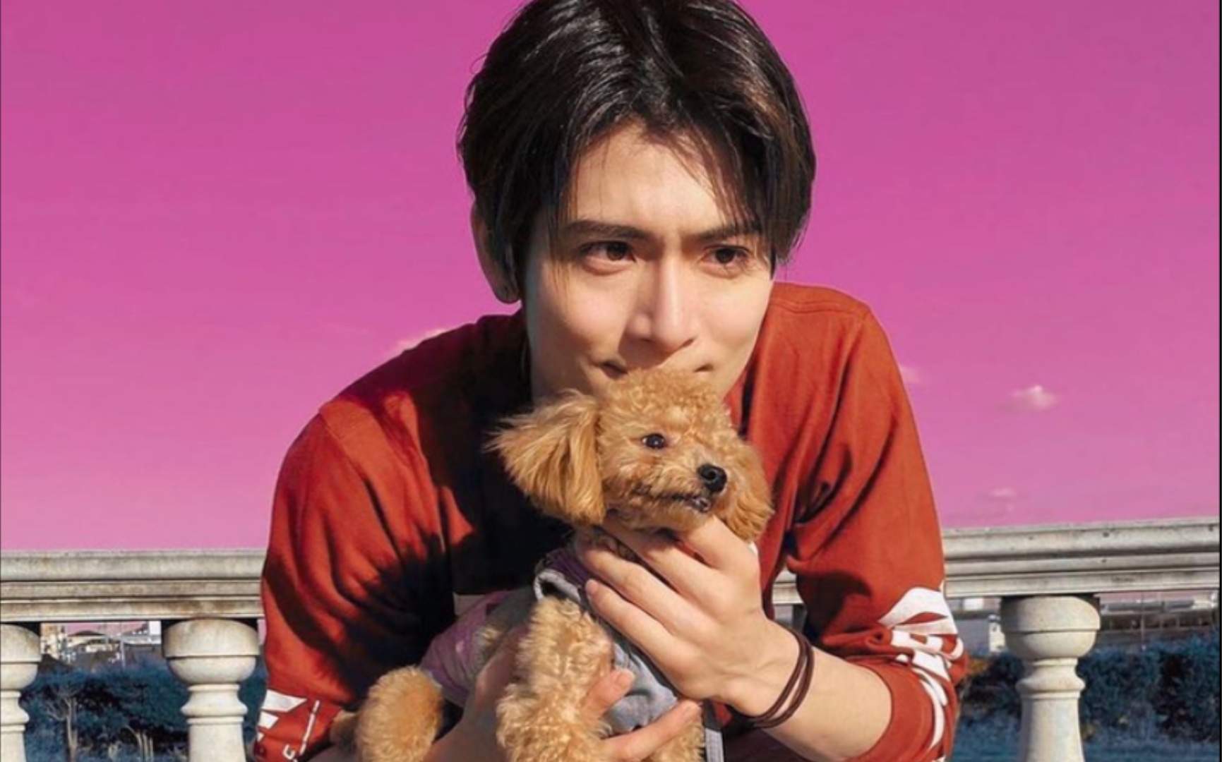 【力丸/rikimaru】父子情深～当po酱看到丸子爸爸回家的时候～可爱的