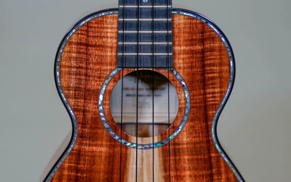 活动  现货kamaka hf2d2i夏威夷相思木23寸koa全单尤克里里试听