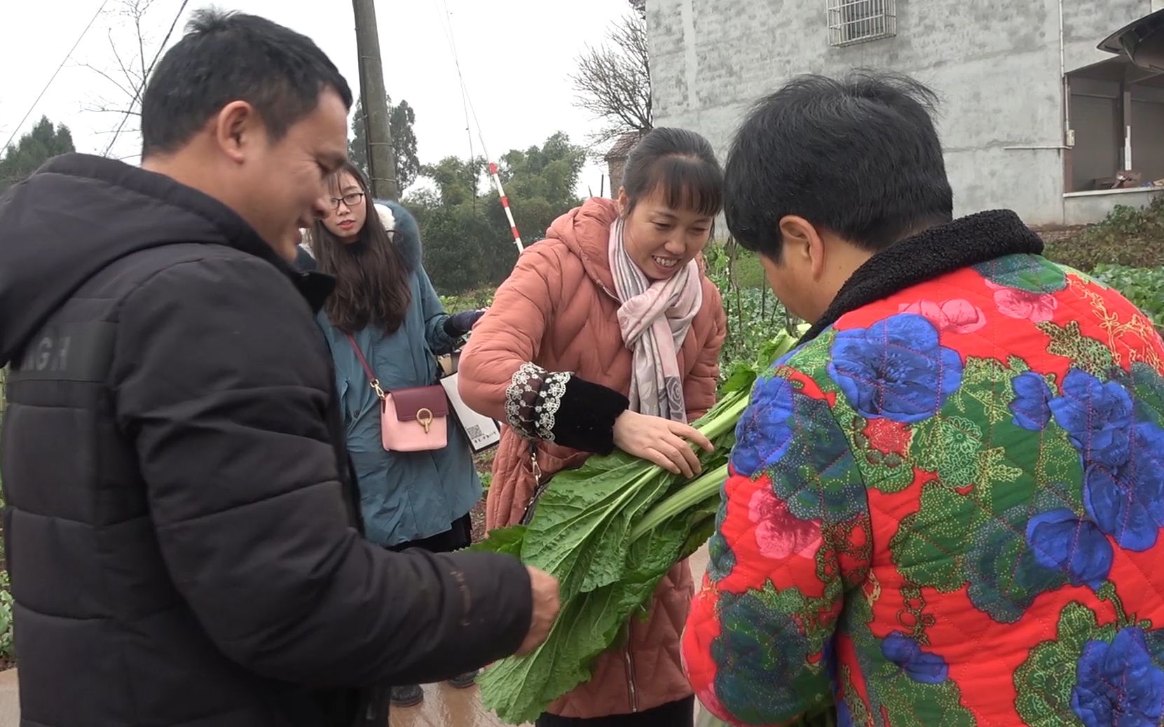 表叔娘打工回家了,超妈把给她做的板鸭送过去,还砍了菜一起送去_哔哩