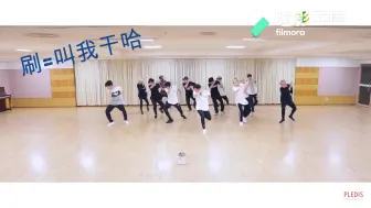 【SEVENTEEN】因为害怕虫子而跳起不想哭的十七