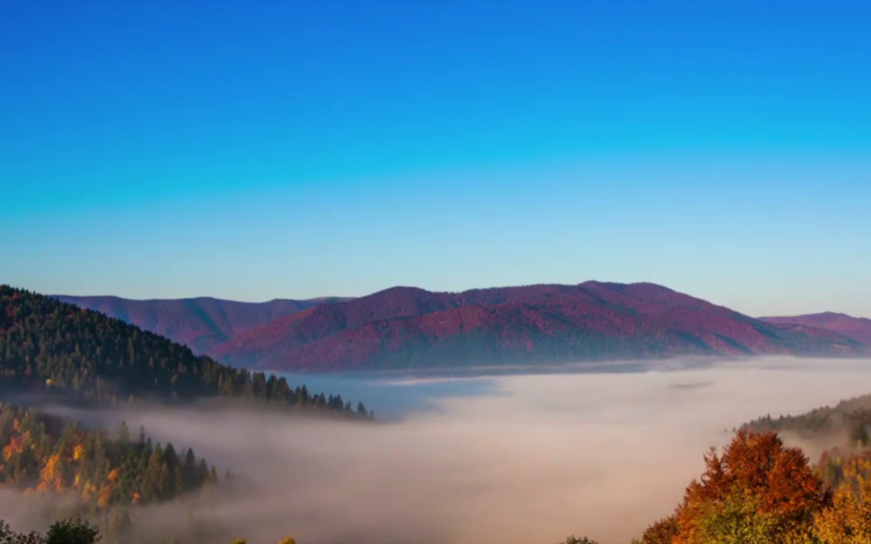 跨越千山万水,只为你诗意翻涌.