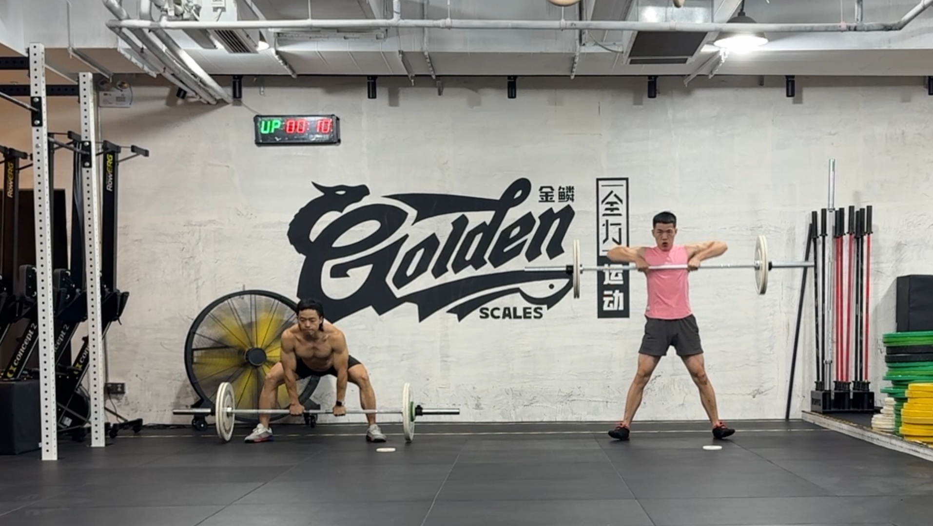 弗雷泽crossfit图片