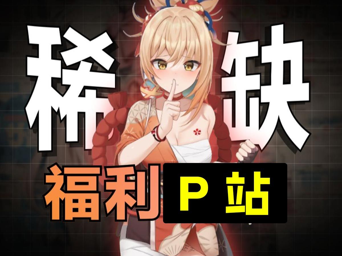 P站,就是你想的那个呢!!!哔哩哔哩bilibili