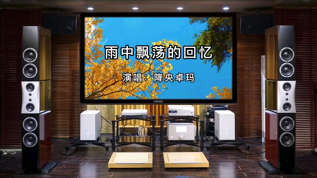 《雨中飘荡的回忆》降央卓玛