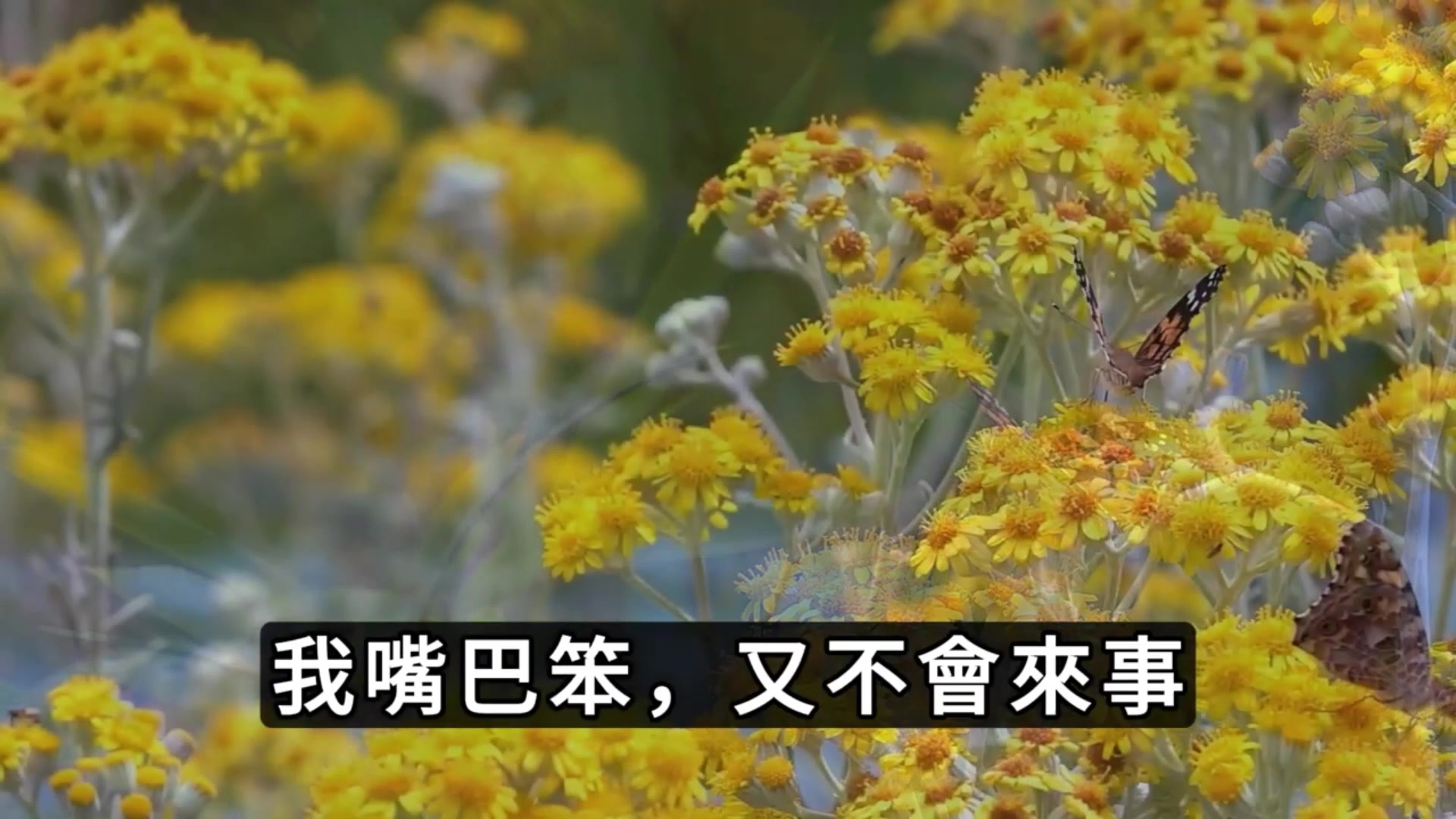 窝囊废丈夫软饭硬吃也就罢了,竟还制造了两次车祸想要我的遗产 美丽讲