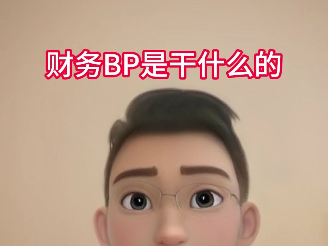 财务BP是干什么的?哔哩哔哩bilibili