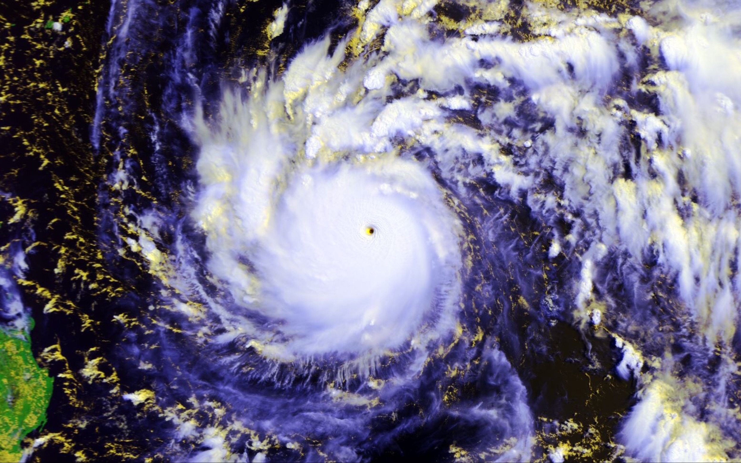 两代奥鹿的奇妙台风之旅