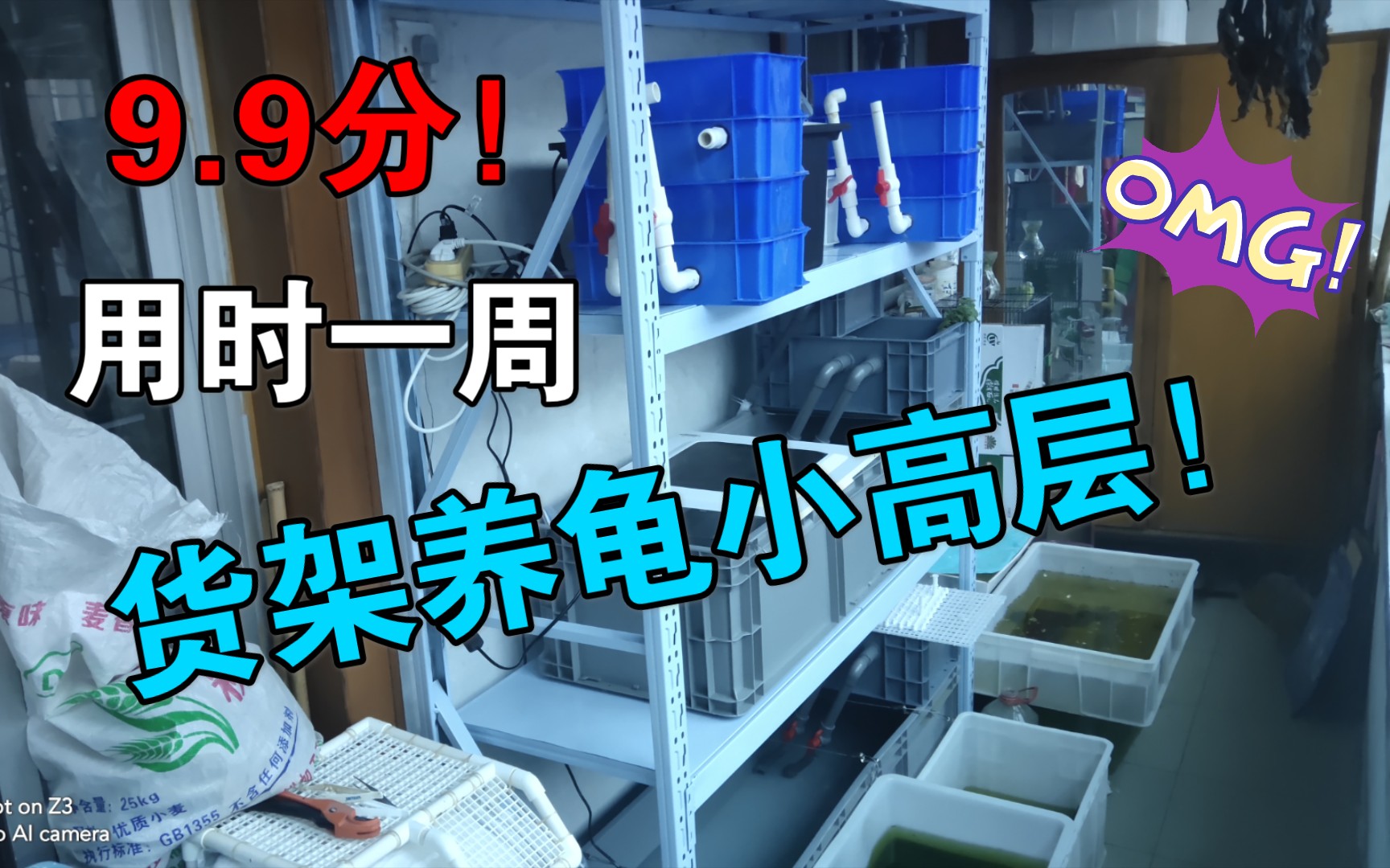 活动作品用时一周打造空间式养龟别墅占地面积小在货架上摆满乌龟