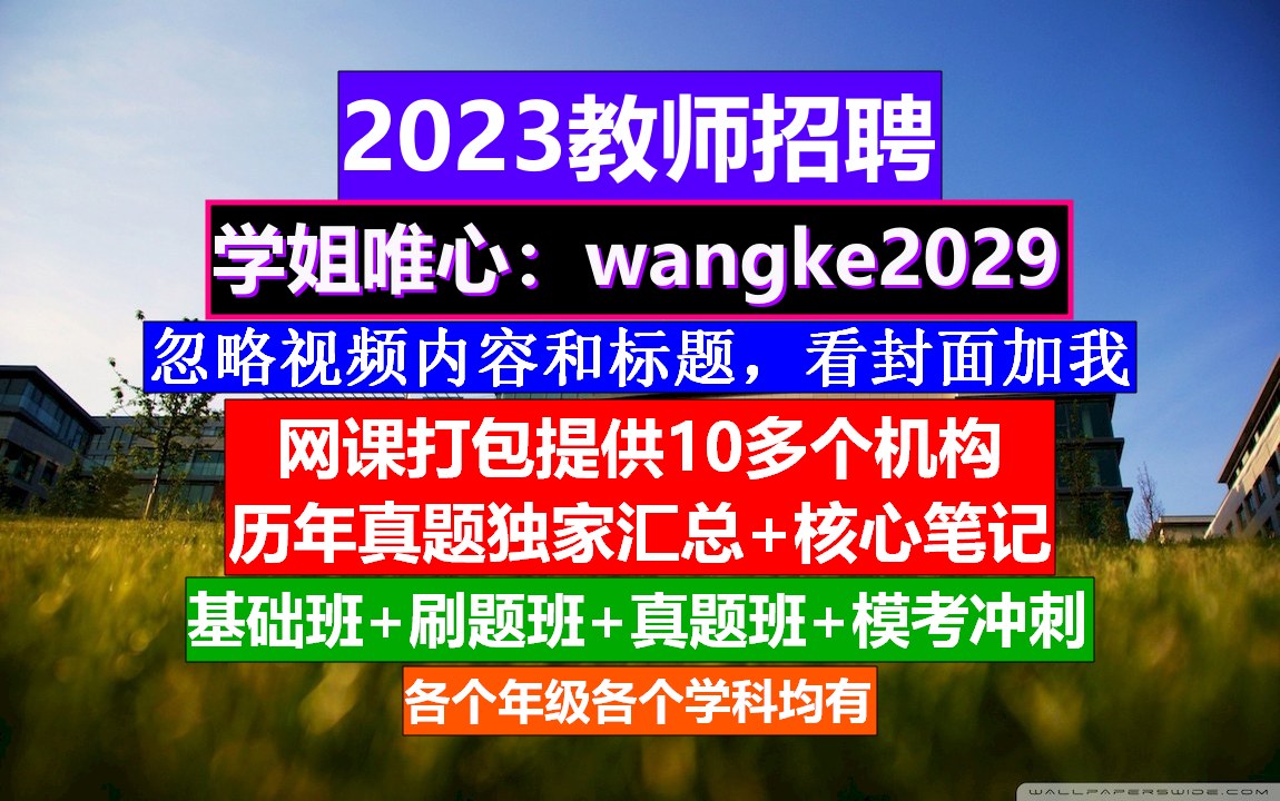 2023全国教师招聘数学学科,教师编制培训机构合法,教师应聘简历哔哩哔哩bilibili