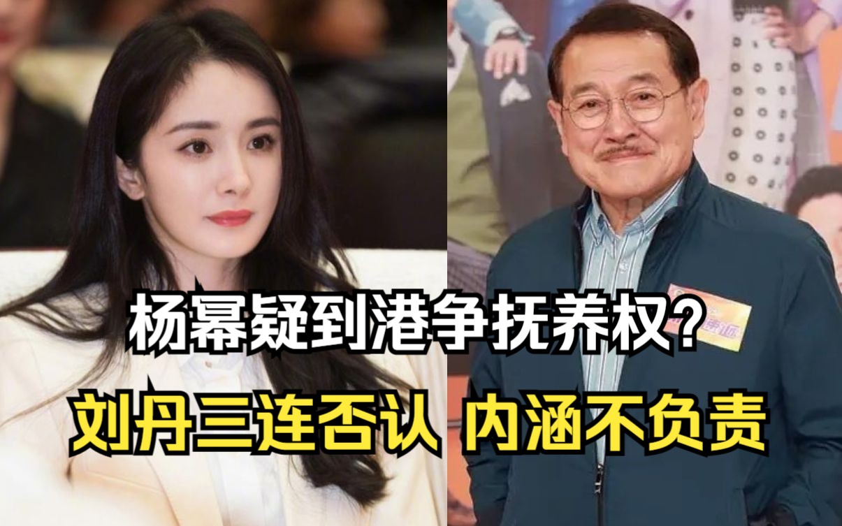 疑李晓峰怀孕,传杨幂曾看望女儿争抚养权,被刘丹否认暗讽不负责哔哩哔哩bilibili