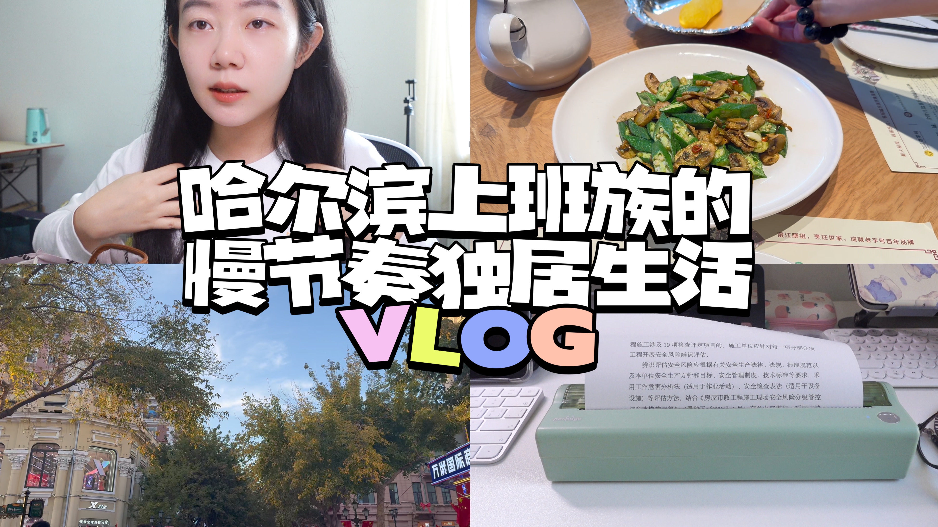 【vlog】哈尔滨上班族的慢节奏独居生活|去中央大街压马路|咖啡|新衣服|免墨打印机开箱|决定要买二手车了!哔哩哔哩bilibili