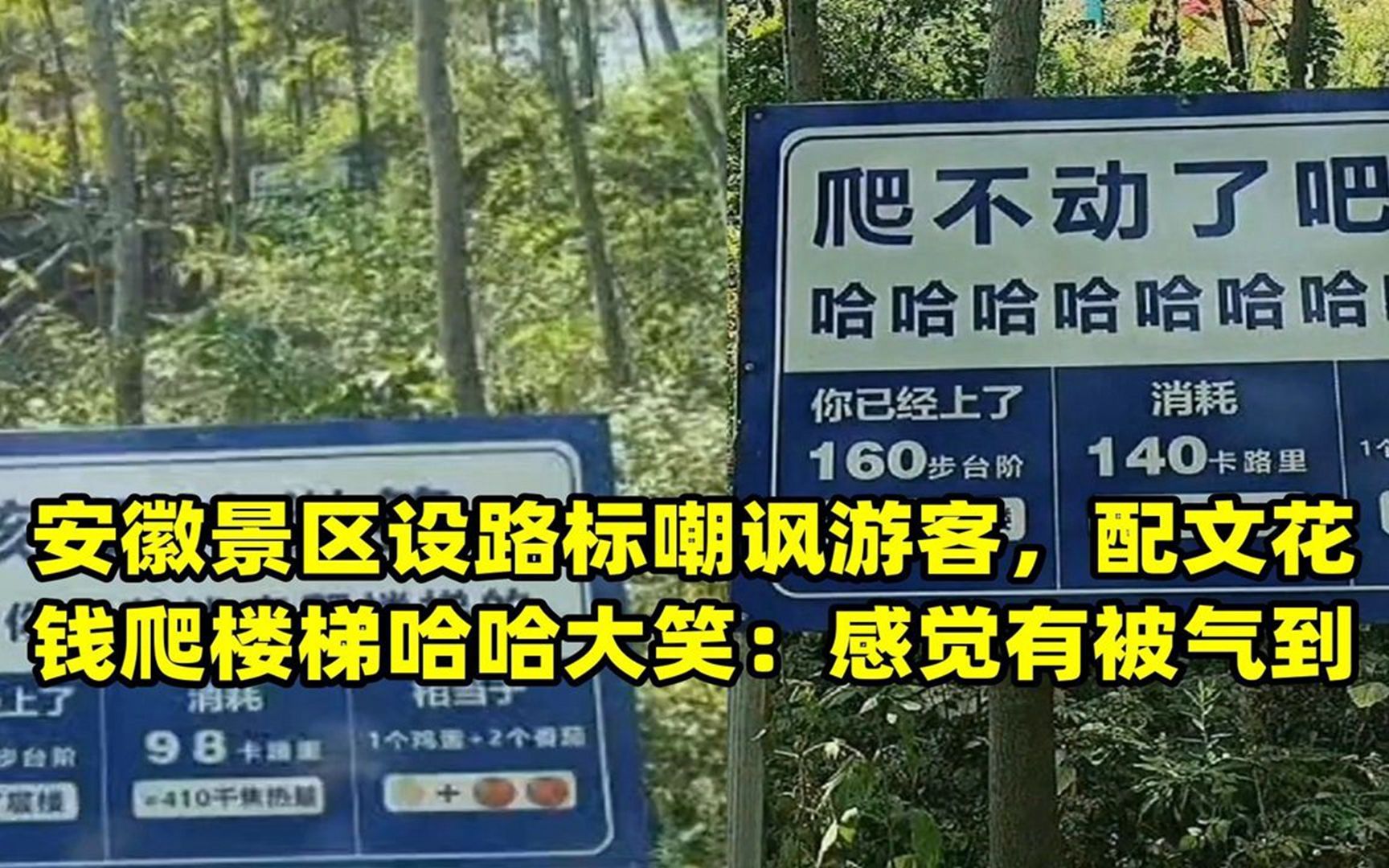 安徽景区设路标嘲讽游客,配文花钱爬楼梯哈哈大笑:感觉有被气到哔哩哔哩bilibili