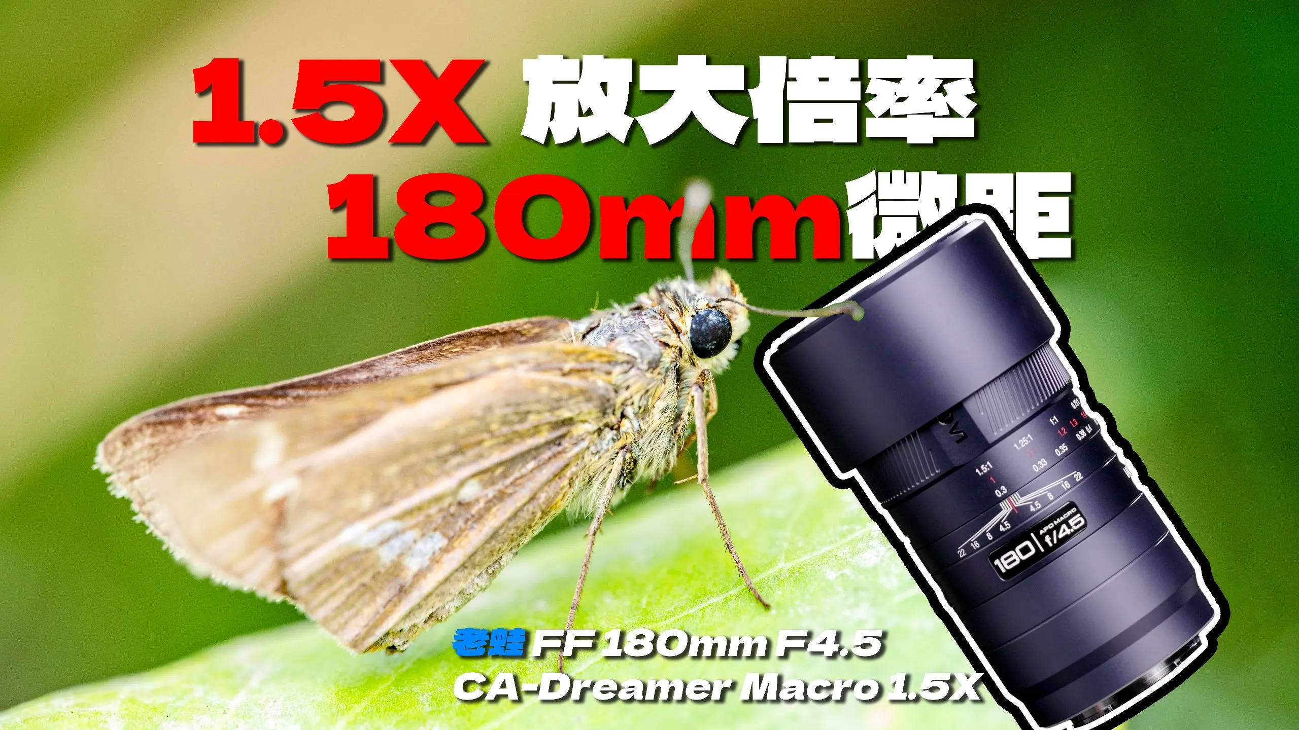 影像狗 | 全画幅，轻到离谱！1.5x放大长焦微距！老蛙180mm F4.5 微距镜头深度体验_哔哩哔哩_bilibili