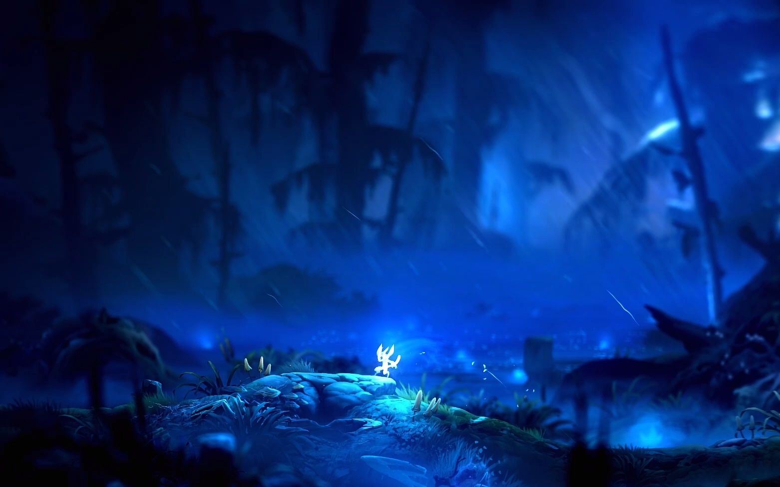 独自走在黑暗森林遇到野猪疯狂输出【精灵与萤火意志第二期】