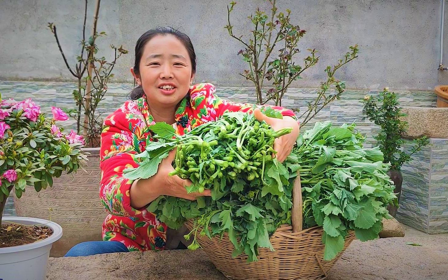 路边野生的油菜苔长得真旺盛,农村媳妇采来做酸菜,蒸扣肉很好吃哔哩哔哩bilibili