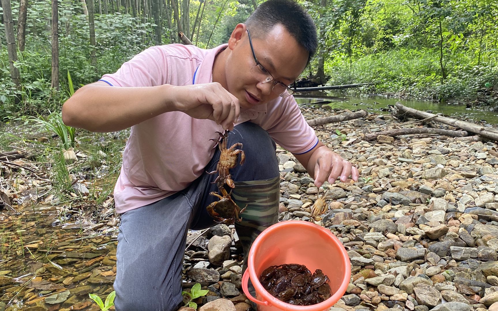 这种山螃蟹一斤能卖90元,村民靠抓螃蟹卖,一天收入900元