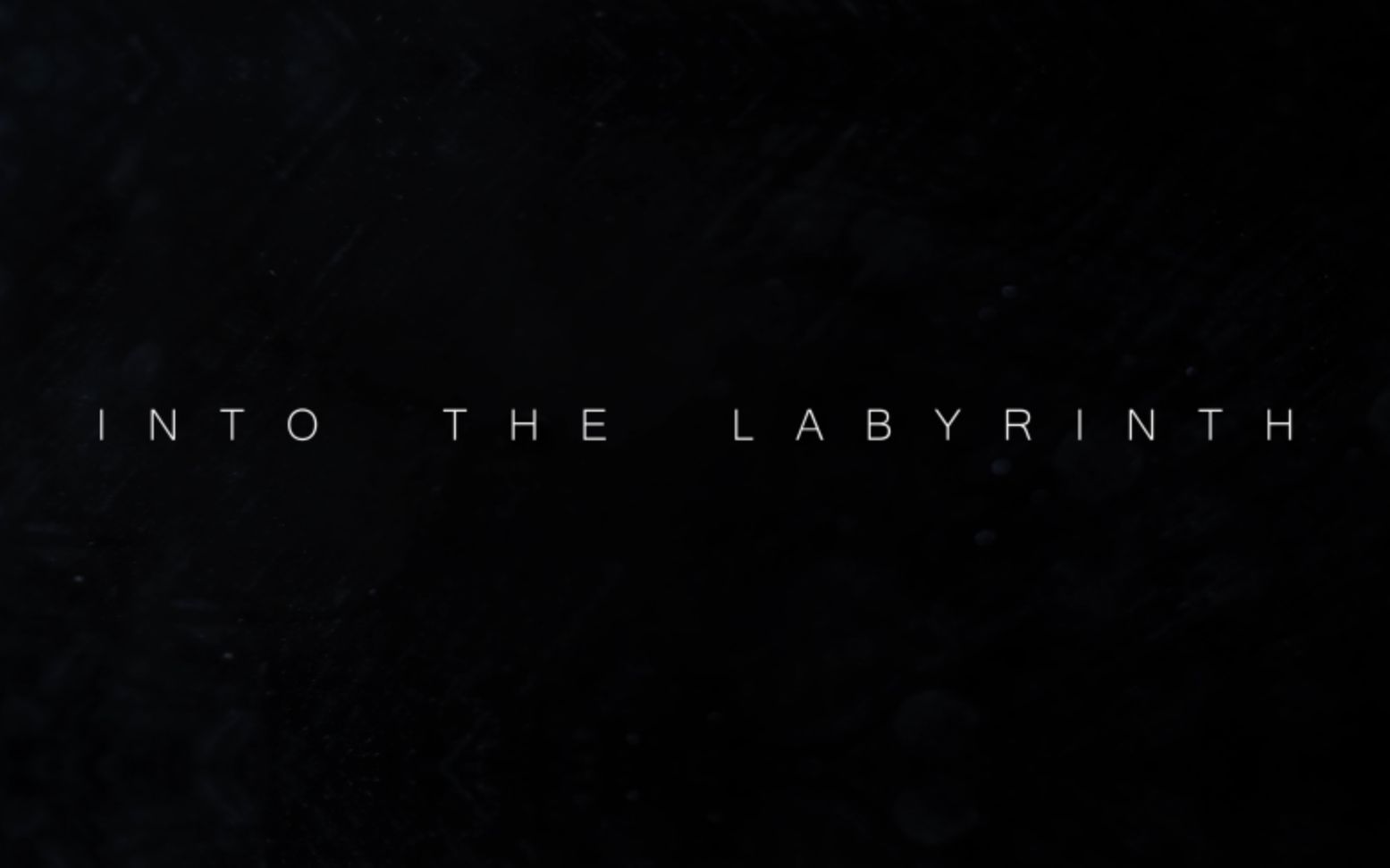 [图]【60FPS】Into The Labyrinth. 化 伪 猫 || No Effects vs Finished