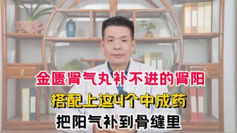 Download Video: 金匮肾气丸补不进的肾阳，搭配上这4个中成药，把阳气补到骨缝里