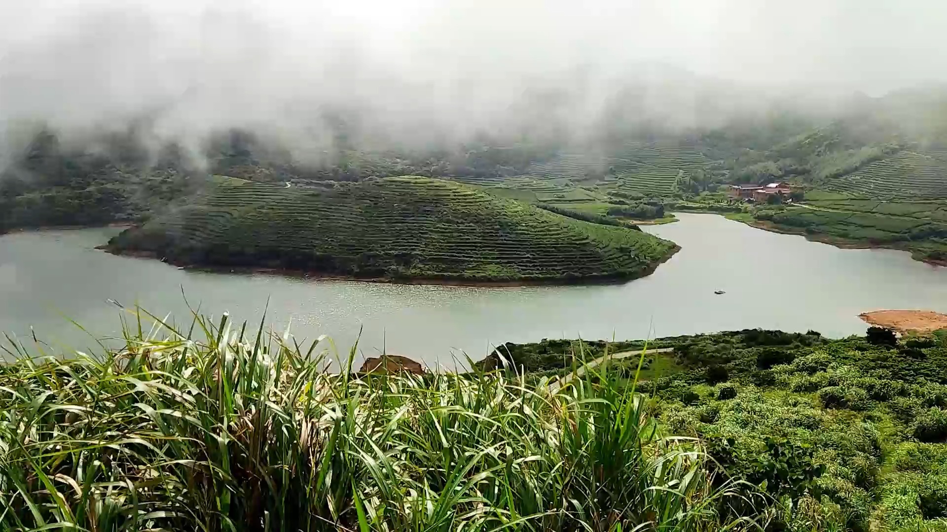 嵛山岛一路生花版哔哩哔哩bilibili