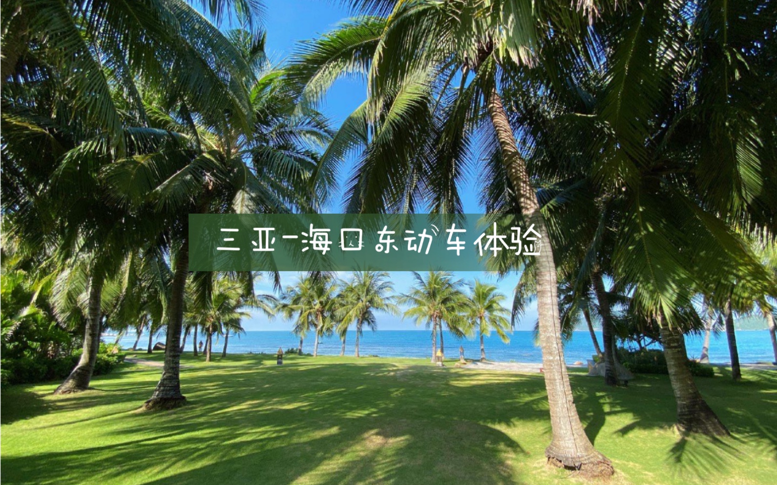 三亚去海口东线动车体验,沿途风景椰海美不胜收哔哩哔哩bilibili