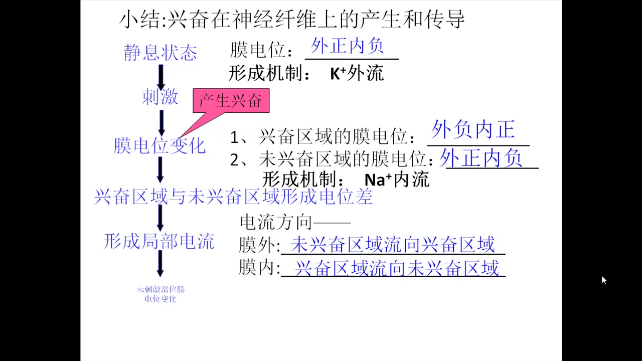 神经纤维思维导图图片