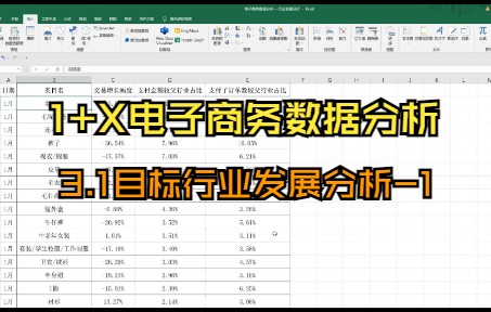 【1+X电子商务数据分析(中级)】3.1目标行业发展分析 1哔哩哔哩bilibili