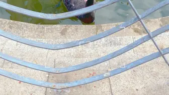 踢个毽子
