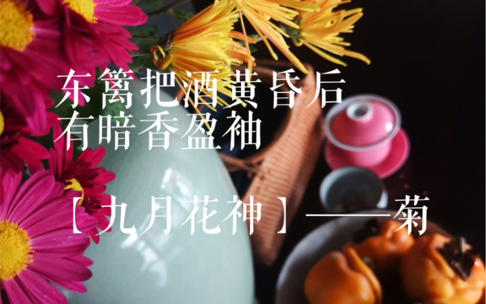 十二月花神 之 九月菊花哔哩哔哩bilibili