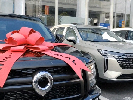 没有金刚炮不揽瓷器活 #提车大吉 恭喜潘总吉日良辰喜提发财车