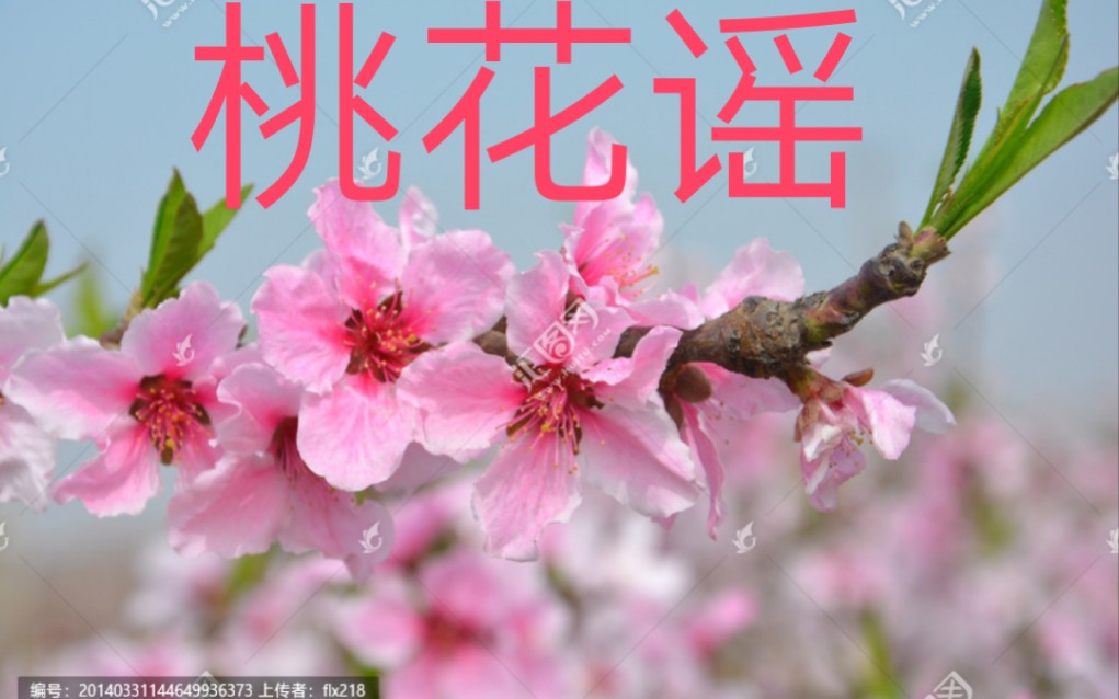 [图]重唱《桃花谣》