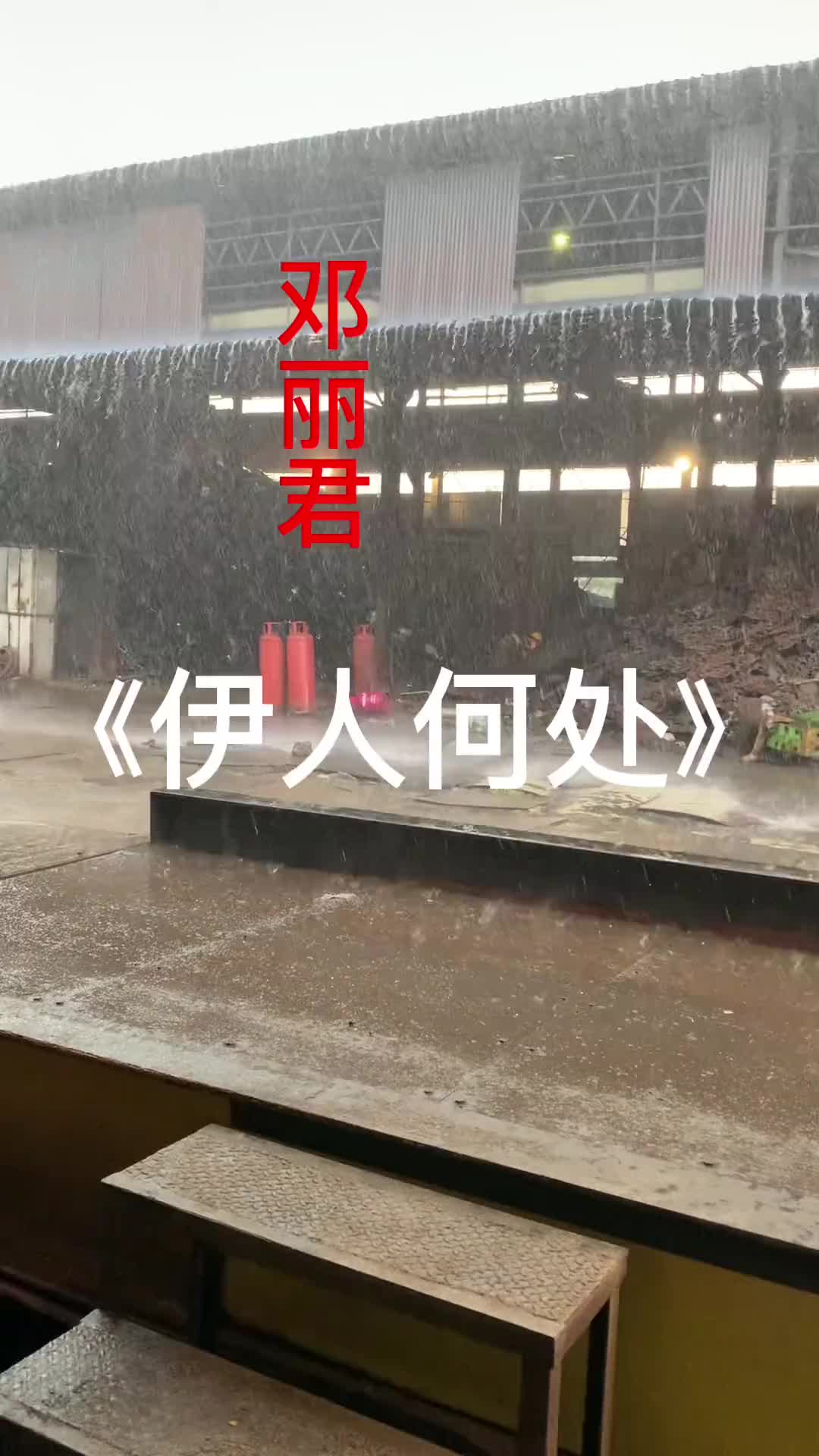 在雨天赏雨是一种对孤独的享受因为在无论是细雨绵绵还是瓢泼大雨哔哩哔哩bilibili