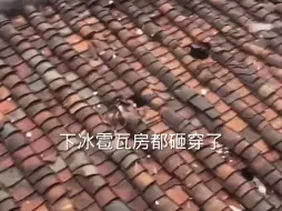 Download Video: 瓦房被冰雹砸了，没地方住了