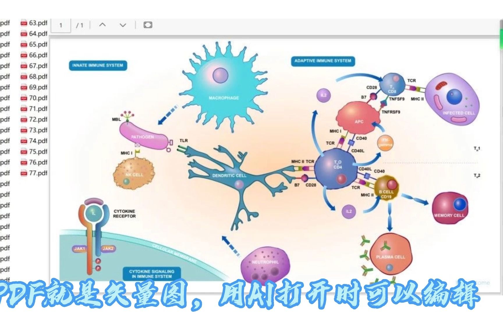 【国自然】最全国自然插图+精美标书!哔哩哔哩bilibili