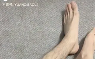 腿毛脚毛 搜索结果 哔哩哔哩 Bilibili