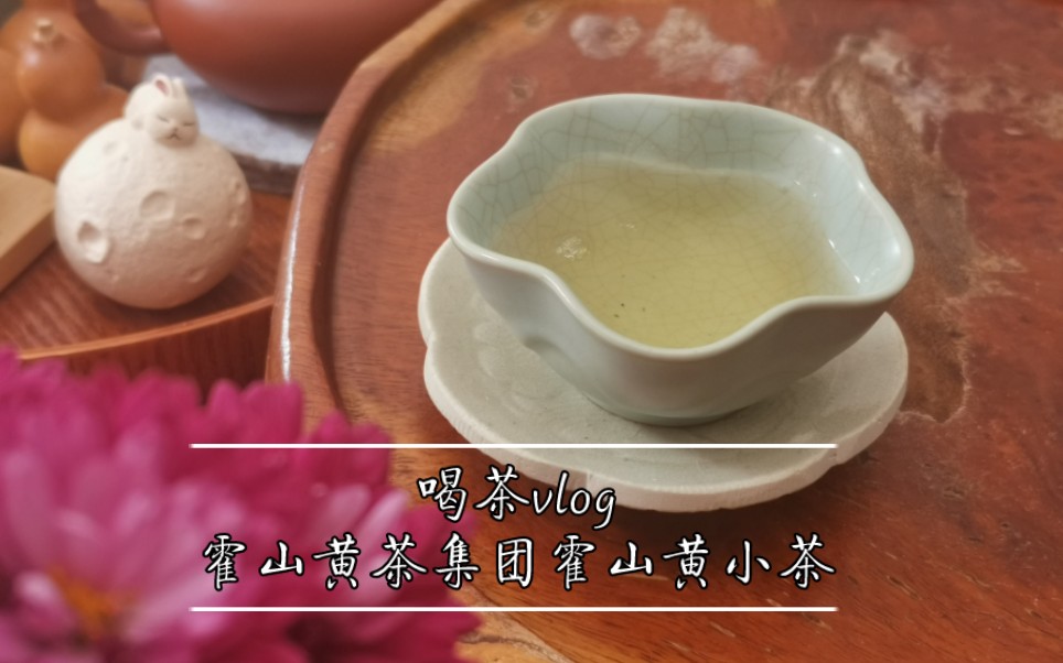 今日饮茶90|安徽黄茶|霍山黄小茶哔哩哔哩bilibili