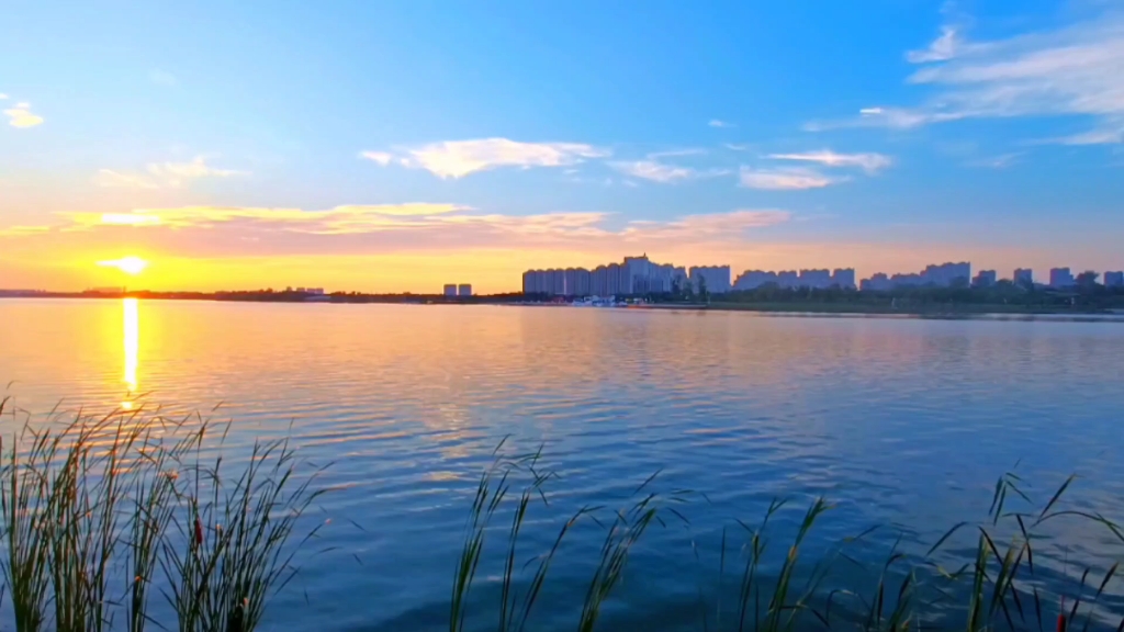 在安徽省滁州市皇庆湖公园拍的夕阳照,美得简直不像是人间.