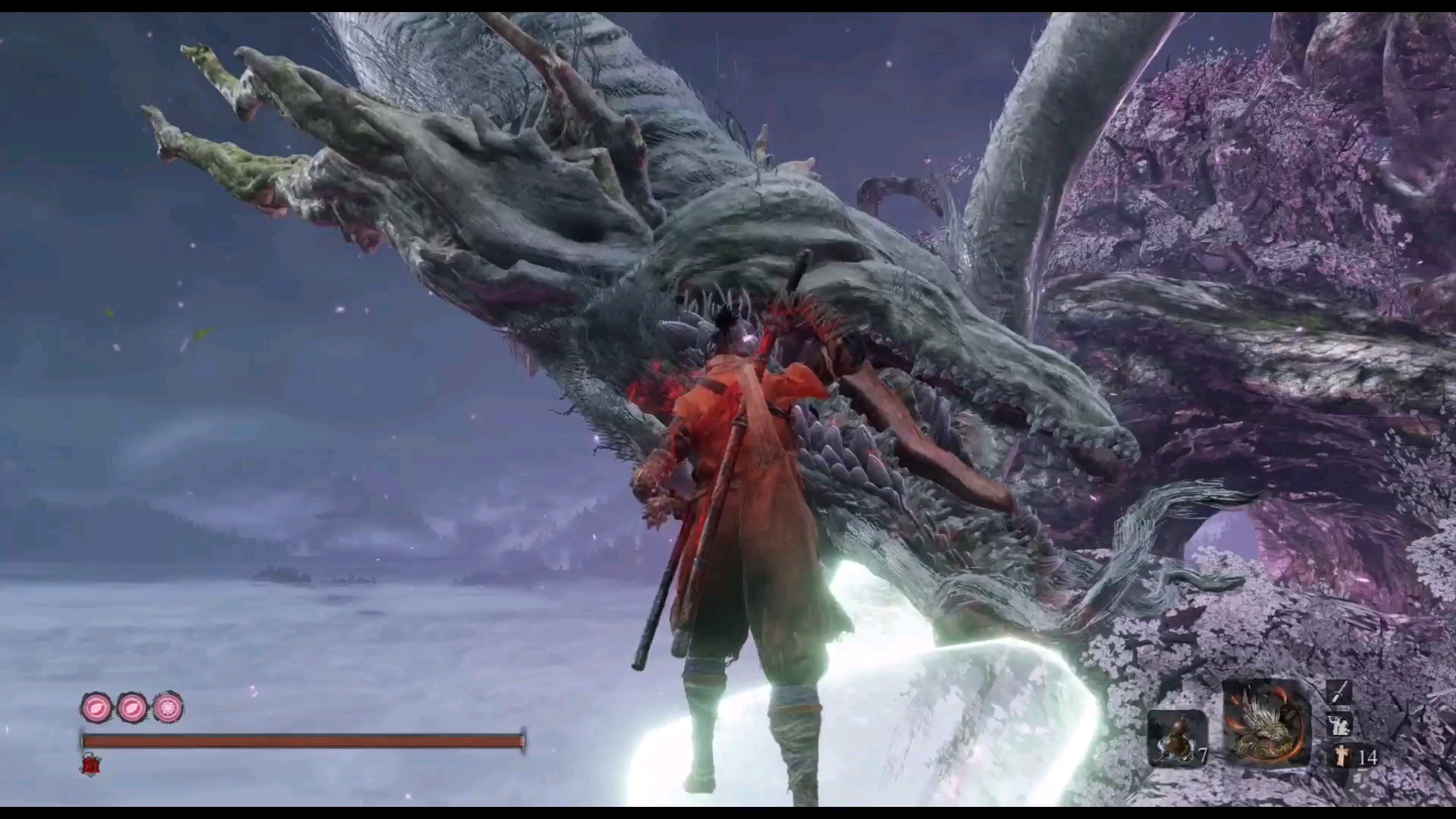 活动作品只狼樱龙