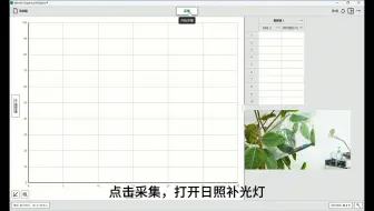 植物的蒸腾作用