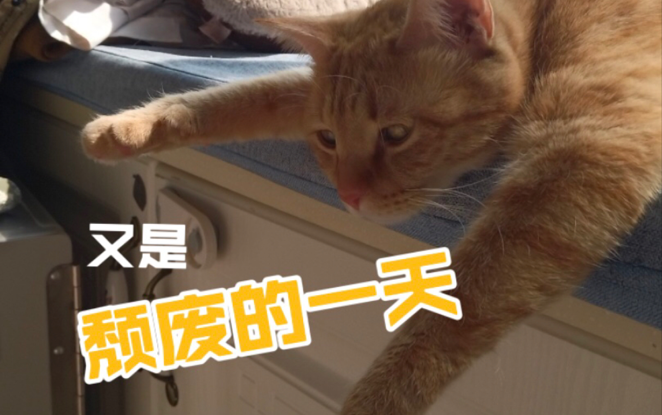 又是颓废的一天