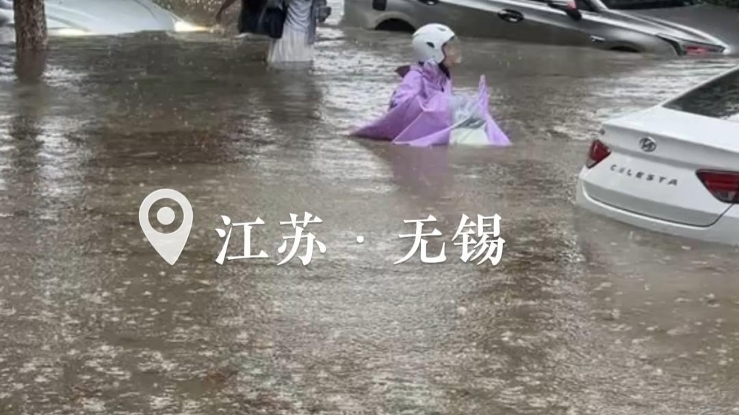 白海豚上班了，已出差到无锡！