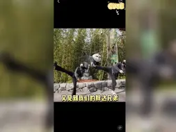 Download Video: 马达引擎的环球之旅vlog新鲜出炉！！『王诗玥×柳鑫宇』