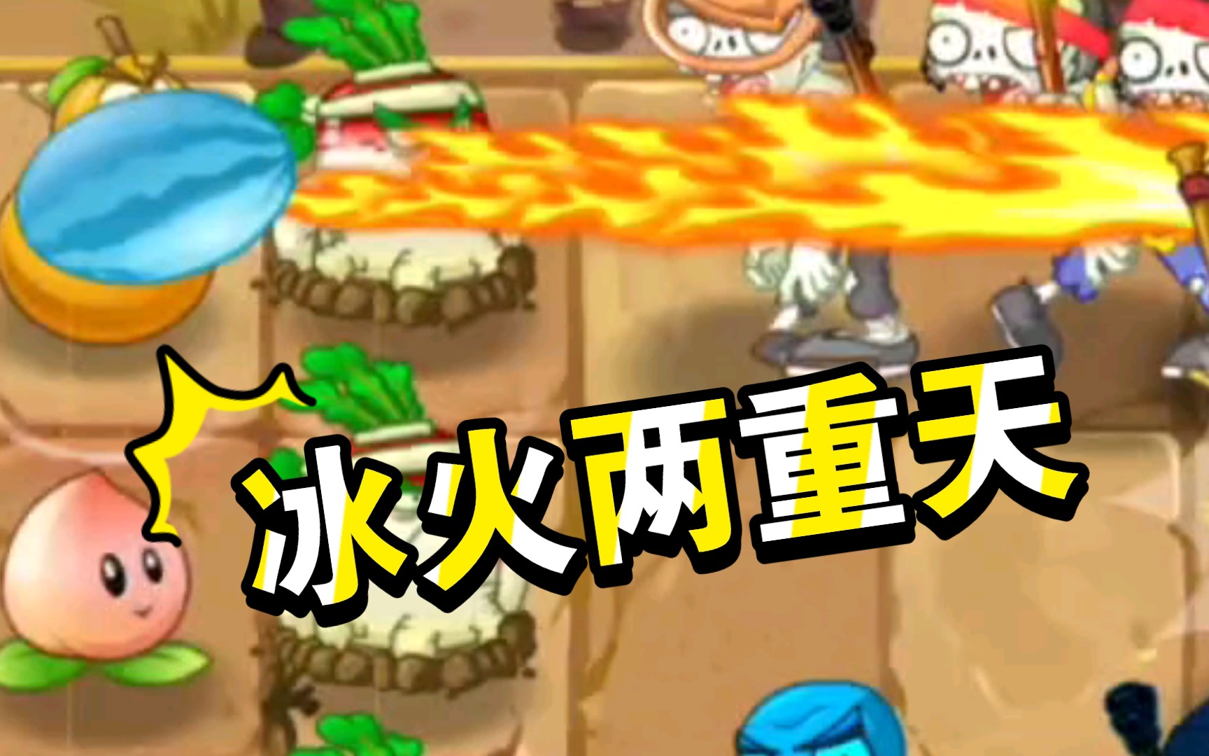 pvz2推关日记功夫世界第11天困难