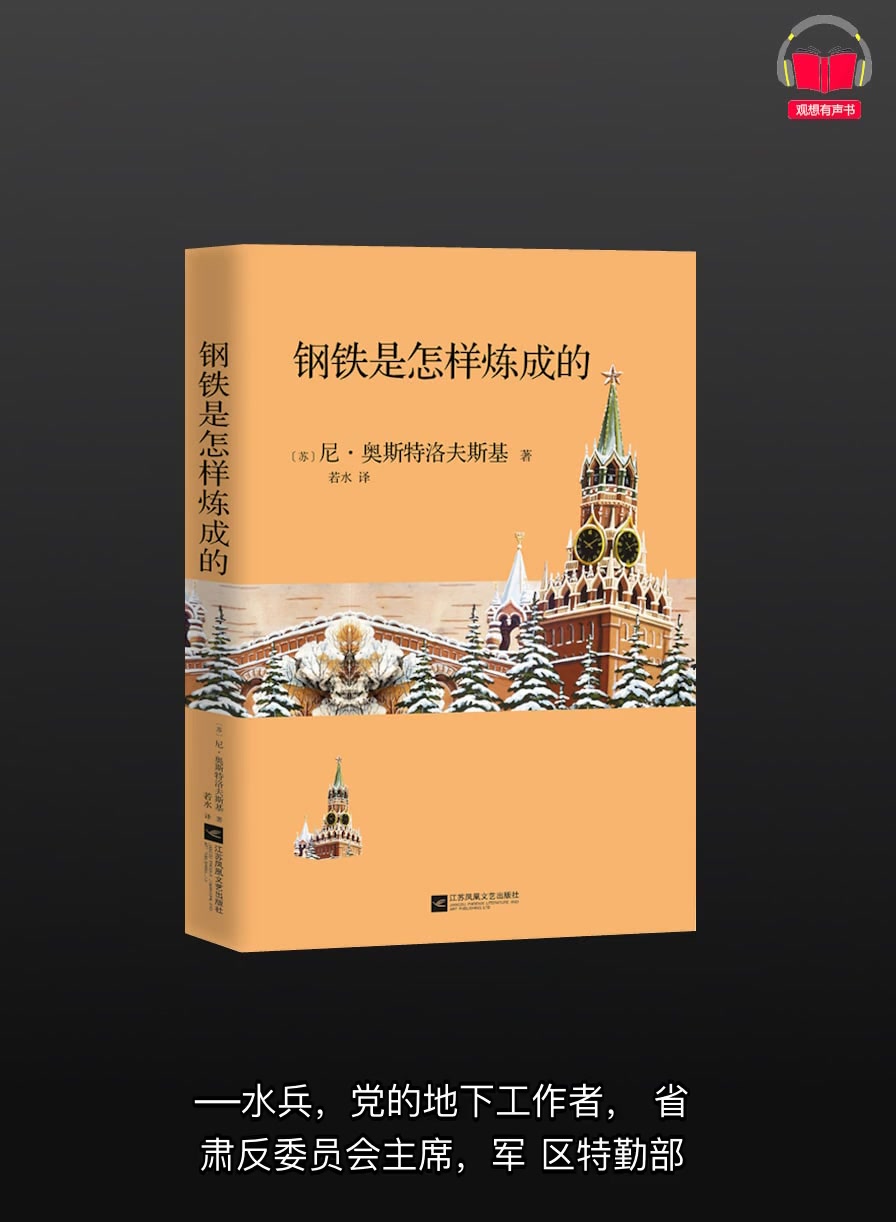 【有声书】《钢铁是怎样炼成的》(完整版)带字幕、分章节哔哩哔哩bilibili