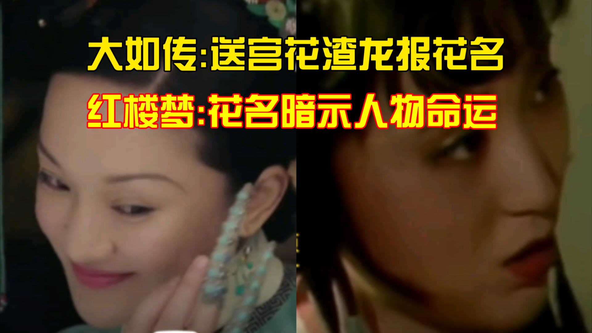 这花是我一个人的,还是合宫都有?大如效颦,渣龙报花名