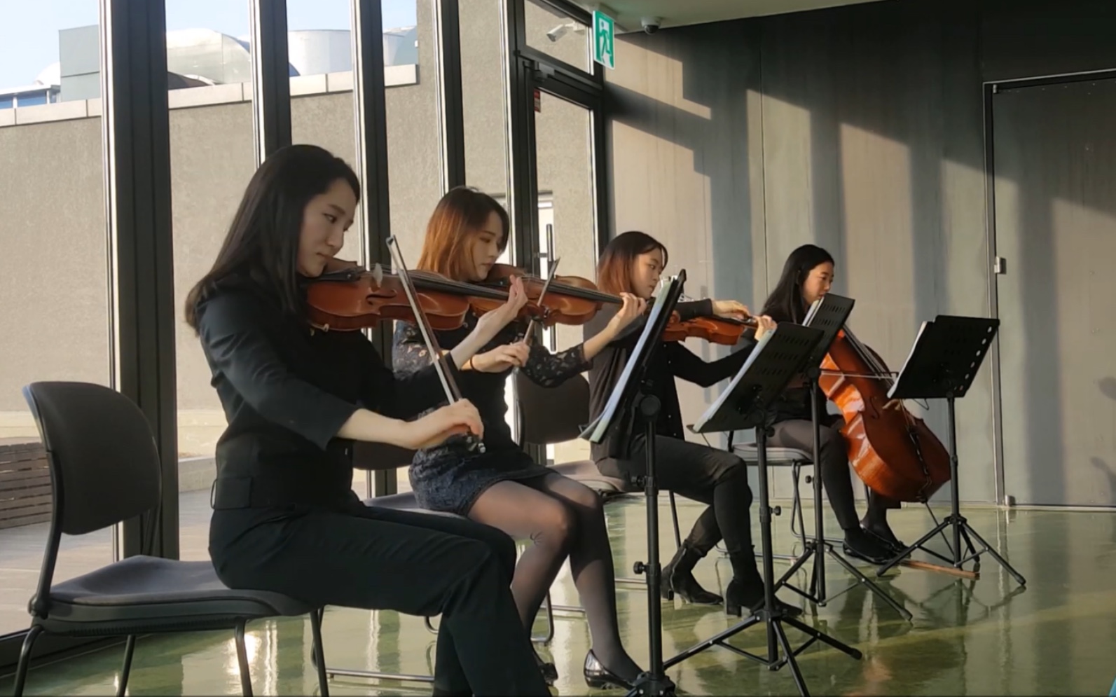 [图]弦乐四重奏 & 蝴蝶华尔兹 Butterfly Waltz-Brian Crain & String Quartet / Violin JIYOON