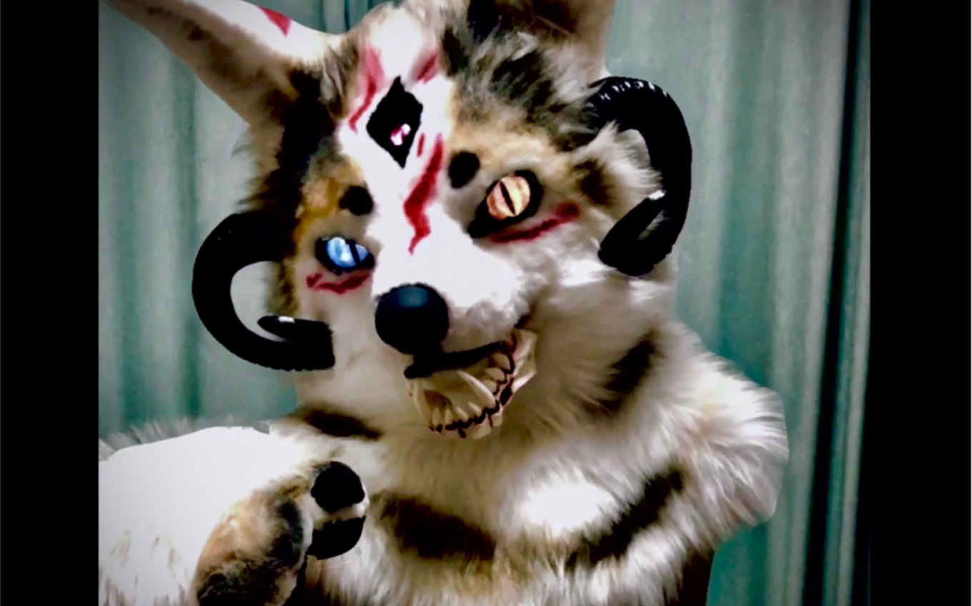 【兽装】进来感受帅狐狸的压迫感吧!