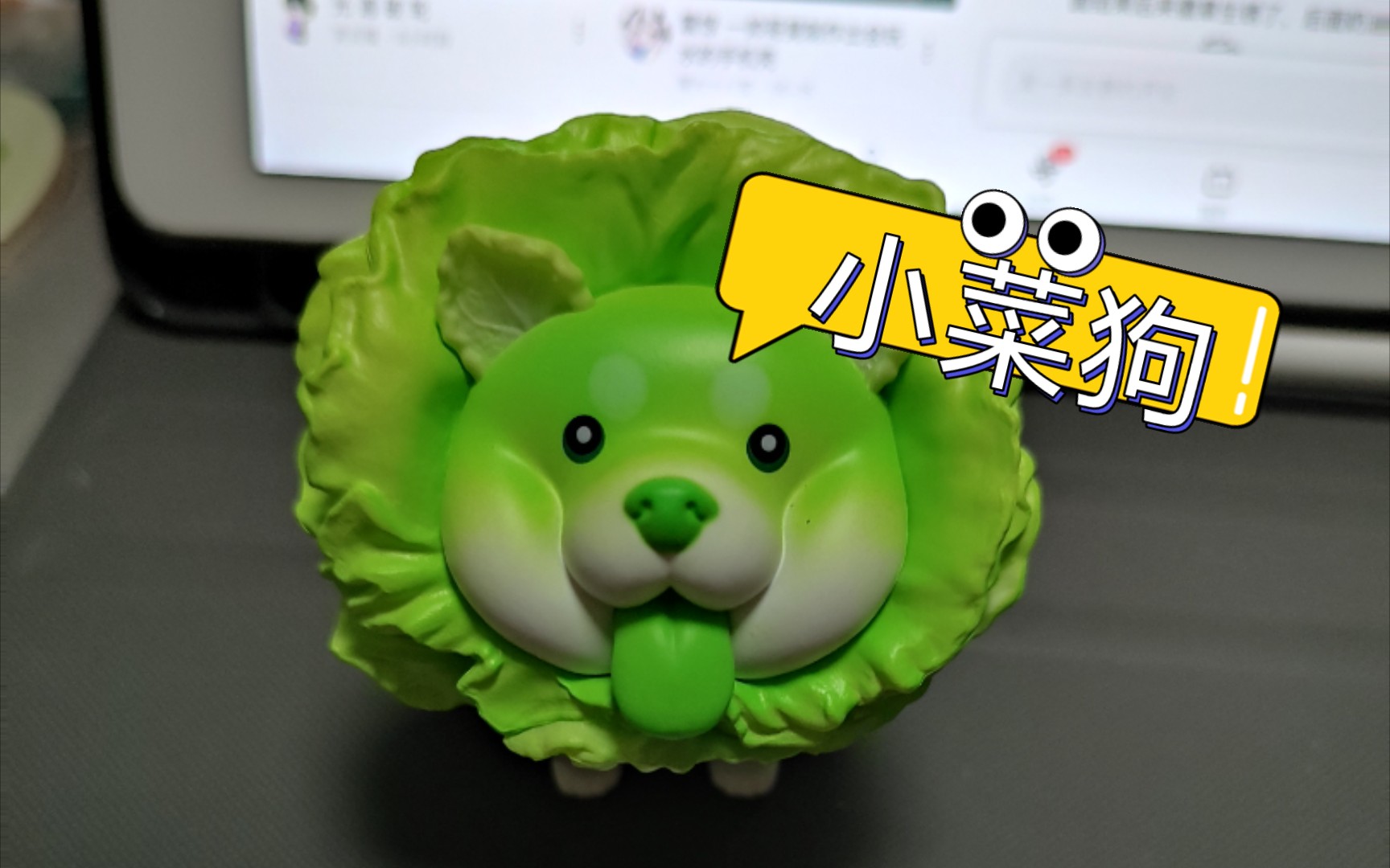 dodowo蔬菜精灵 菜狗开箱